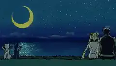 Sailor Moon and Tuxedo Mask watching the moon