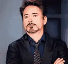 Robert Downey Jr. Smirk