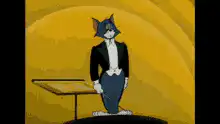 Tom Cat in Tuxedo Bowing