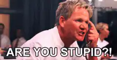 Gordon Ramsay Are You Stupid