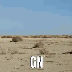 Desert landscape with GN text