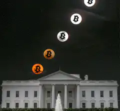 Bitcoin coins raining on the White House