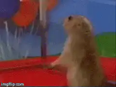 prairie dog wide eyes