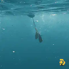 Great white shark attacks bait underwater