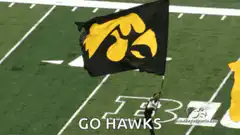Iowa Hawkeyes flag waving on football field