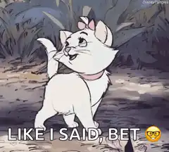 Marie Cat Like I Said Bet