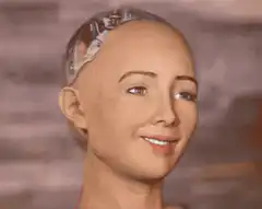 Sophia the robot smiles then looks confused