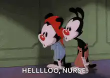 Yakko and Wakko calling for a nurse