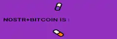 Nostr and Bitcoin is love