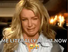 Britney Spears crying me literally right now