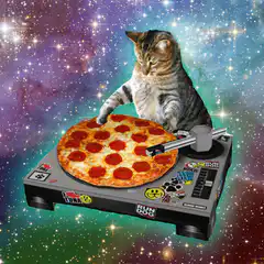 DJ Cat with Pizza Turntable in Space
