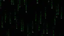 Matrix digital rain