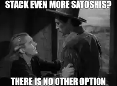 There Is No Other Option Meme