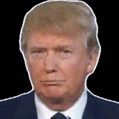 Donald Trump Smirking and Nodding