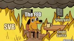 This is Fine dog in burning room