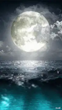 Full Moon Over Ocean with Birds