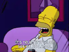 Homer Simpson crying it's true we're so lame