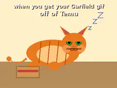 Garfield gif from Temu