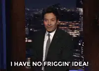 Jimmy Fallon I Have No Friggin' Idea