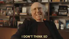 Larry David I Don't Think So