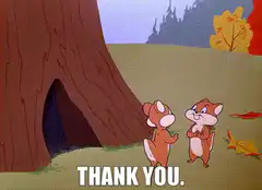 Chipmunk says thank you