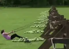 Woman pulled by watermelons