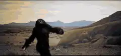 Ape throws bone into space