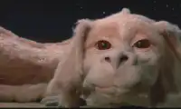 Fluffy winking from Harry Potter
