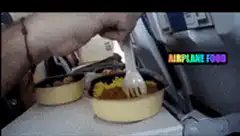 Airplane food falling apart