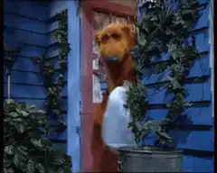 Boo Bear throws a bag in the trash