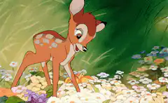 Bambi sneezing in the flowers