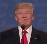 Donald Trump smirking at podium