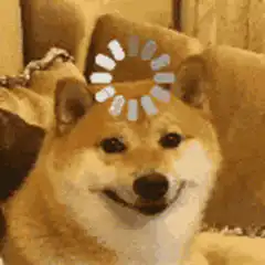 Doge loading screen