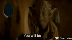 Yoda You Will Be