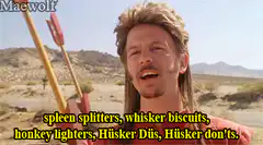 Dusty Bottoms talking about Hüsker Dü