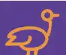 Orange bird icon on purple background