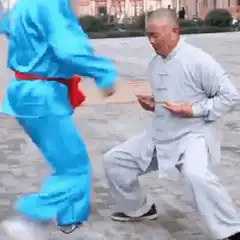 Martial artist blocks a high kick