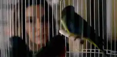 Woman staring at bird in cage