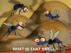 Flies reacting to a bad smell