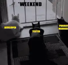Cats watching a bird labeled weekend