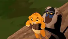 Rafiki presents baby Simba
