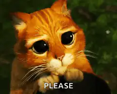 Sad orange cat with big eyes saying please