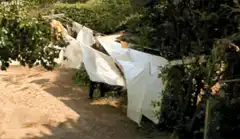 clothesline blowing in wind