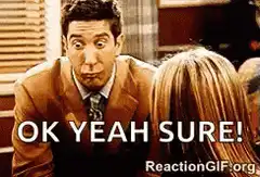 David Schwimmer skeptical face