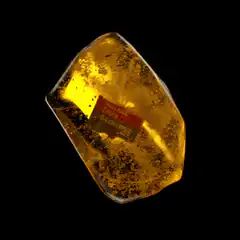 Rotating amber with trapped insect