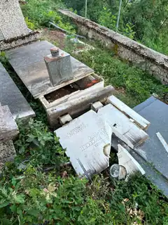 broken tombstone in overgrown cemetery