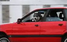 Dog driving red car