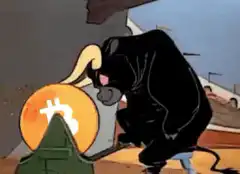 Bear vs Bull Bitcoin