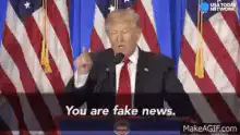 Donald Trump You Are Fake News