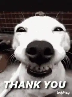 Grinning Dog Thank You